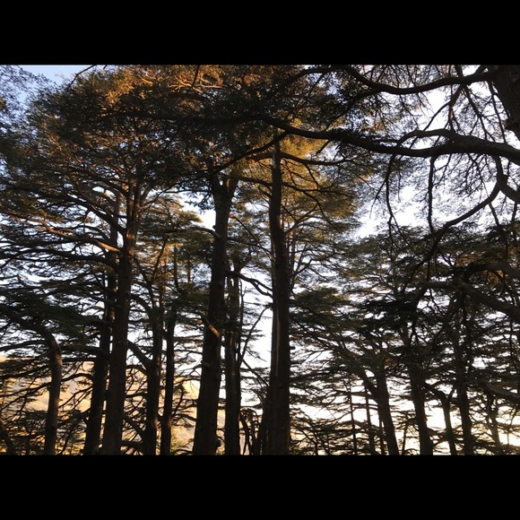 Meet your Posher, Jessica - Picture 1 of 1